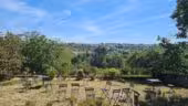 Domaine Albert