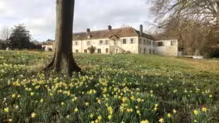 Le Domaine du Plessis Luzarches