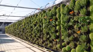 Jardin Perché Marais