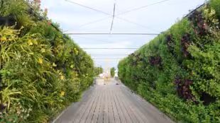 Jardin Perché Marais