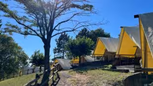 Domaine de Chantesse