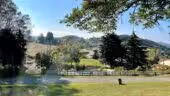 Domaine de Chantesse