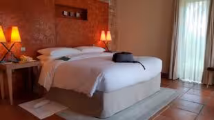 Terre Blanche Hôtel Spa Golf Resort