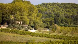 Chateau Mentone