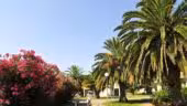 Hôtel du Domaine du Mas Blanc (by Popinns)