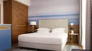 Sheraton Nice Airport