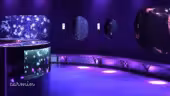 Aquarium de Paris - Aquarium de Paris