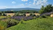 Clos du Tuilier