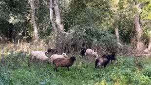 Les Clés de la Ferme
