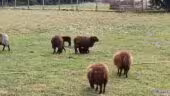 Les Clés de la Ferme