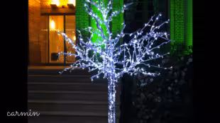Arbre lumineux - Arbre lumineux