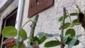 Le Moulin De Vauboyen-Campus du Sens au Travail