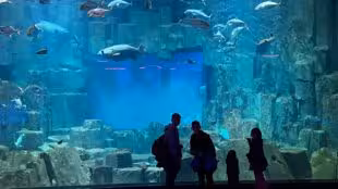 Aquarium de Paris
