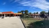 Le Village Camarguais