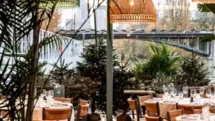 Polpo Brasserie