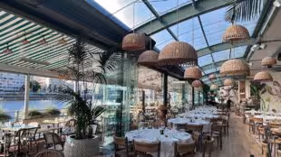 Polpo Brasserie