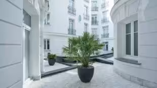 Maison Astor Paris, Curio Collection by Hilton
