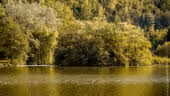 Le Domaine du lac