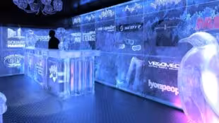 Le B Complexe – Bar de Glace