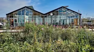 Plantation Paris
