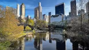 Central Park