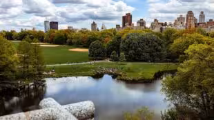 Central Park