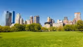 Central Park