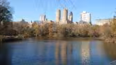 Central Park