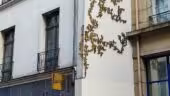 Drawing Lab Paris