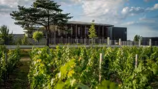 Château Couhins