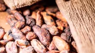 La Chocolaterie - Manufacture