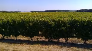 La Grange Des Barres