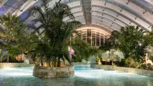 Le Bois aux Daims – Center Parcs espace aquatique