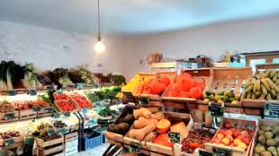 Ferme Bio Croq'Champs - Production, grand gîte et épicerie vivante