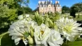 Château de Nainville les Roches