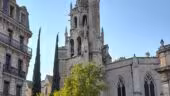 Théâtre du Roi René Avignon