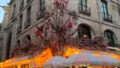 Le Duc des Lombards
