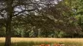 Les Sources de Cheverny