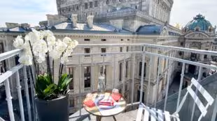 Baya - Paris Scribe Haussmann