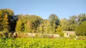 Château de Saint-Jean-de-Beauregard