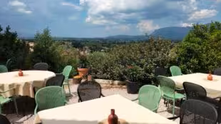 Happy Day in Provence