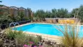 Happy Day in Provence