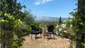 Happy Day in Provence