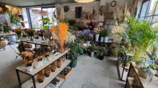 LAB aux fleurs