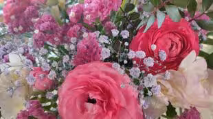 LAB aux fleurs