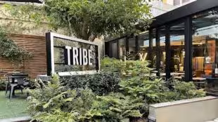 TRIBE Paris Batignolles