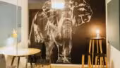 MOTA Coworking - Croix Blanche