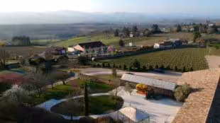 Domaine de Bellevue