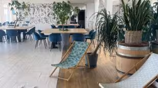 Bureaux And Co - Nouvelles Galeries