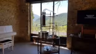 L'Essentiel de Lavande